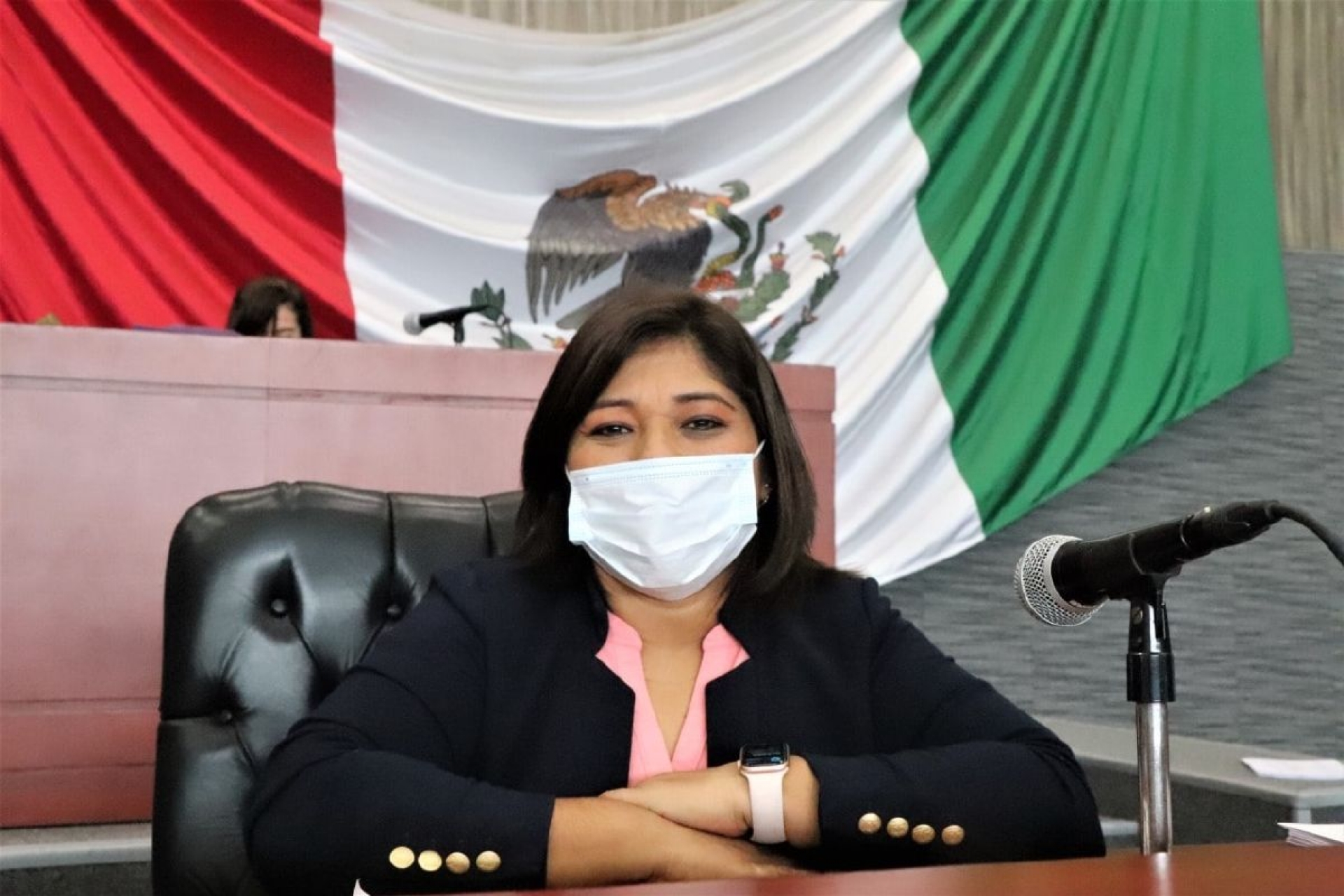 Apegado a la ley, proceso de juicio contra Graco: diputada