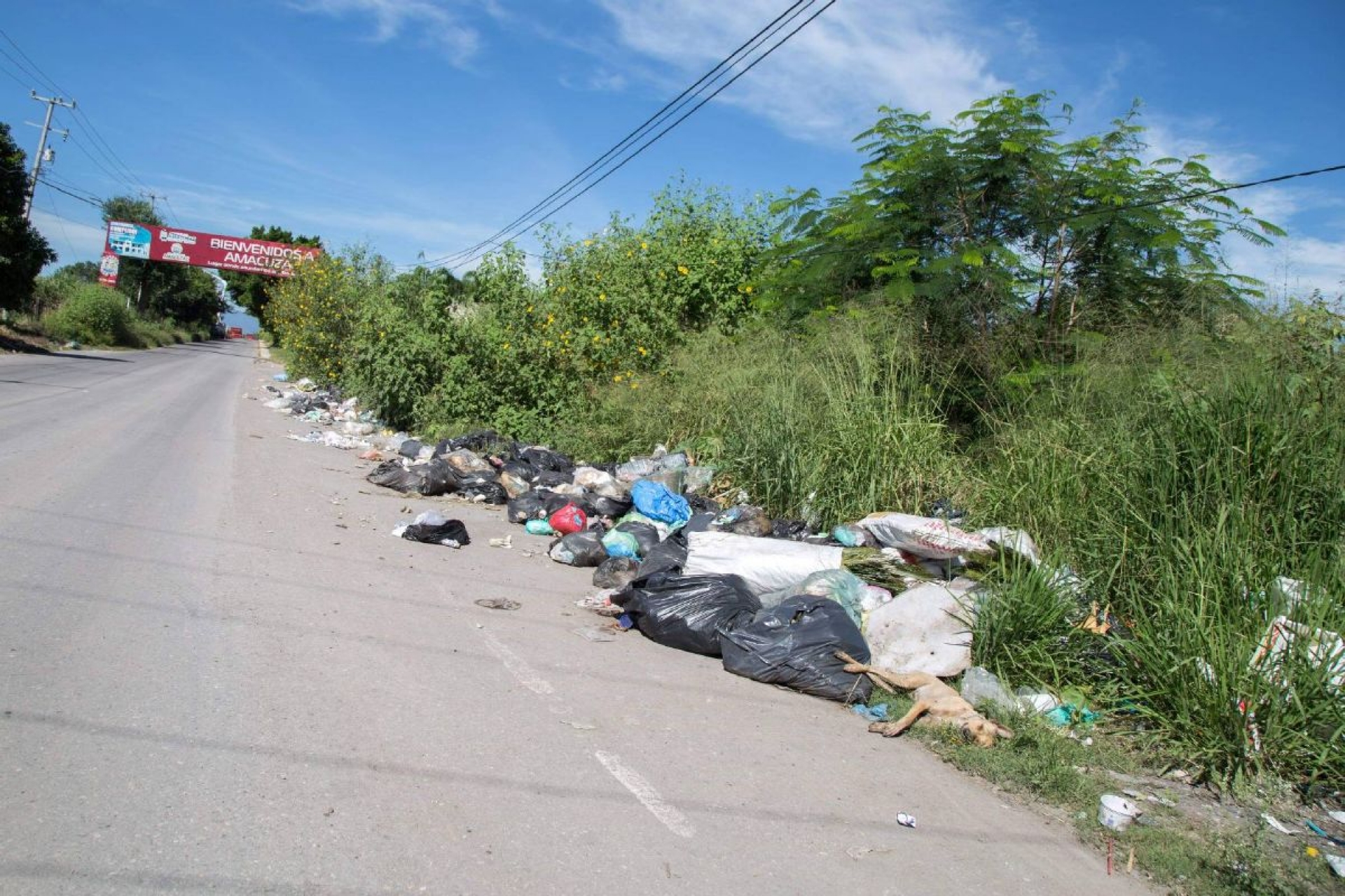 Continúan tirando basura afuera del panteón municipal de  Puente de Ixtla: ciudadanos