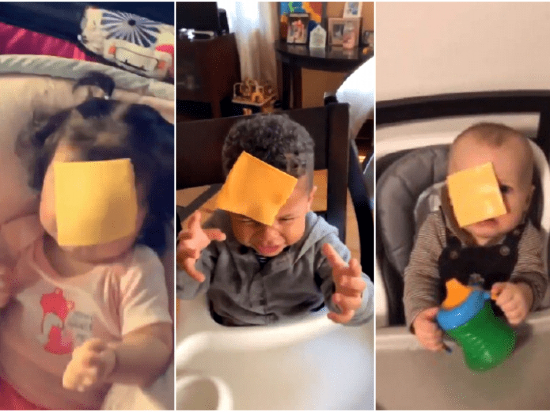 “Cheese challenge”: Lo de hoy es aventar rebanadas de queso a bebés