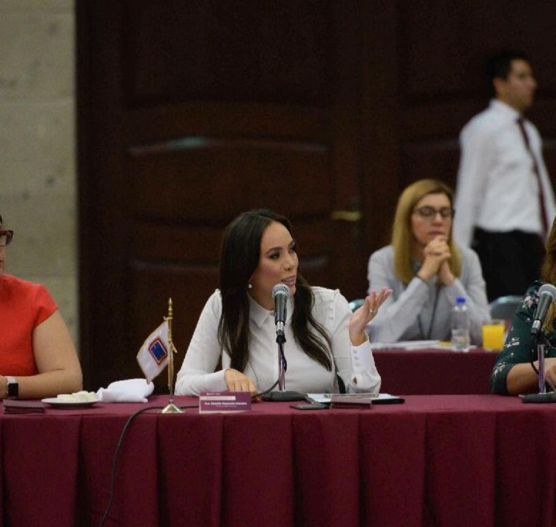 Participa Natália Rezende en Primera Reunión Nacional de Titulares de Sistemas Estatales DIF