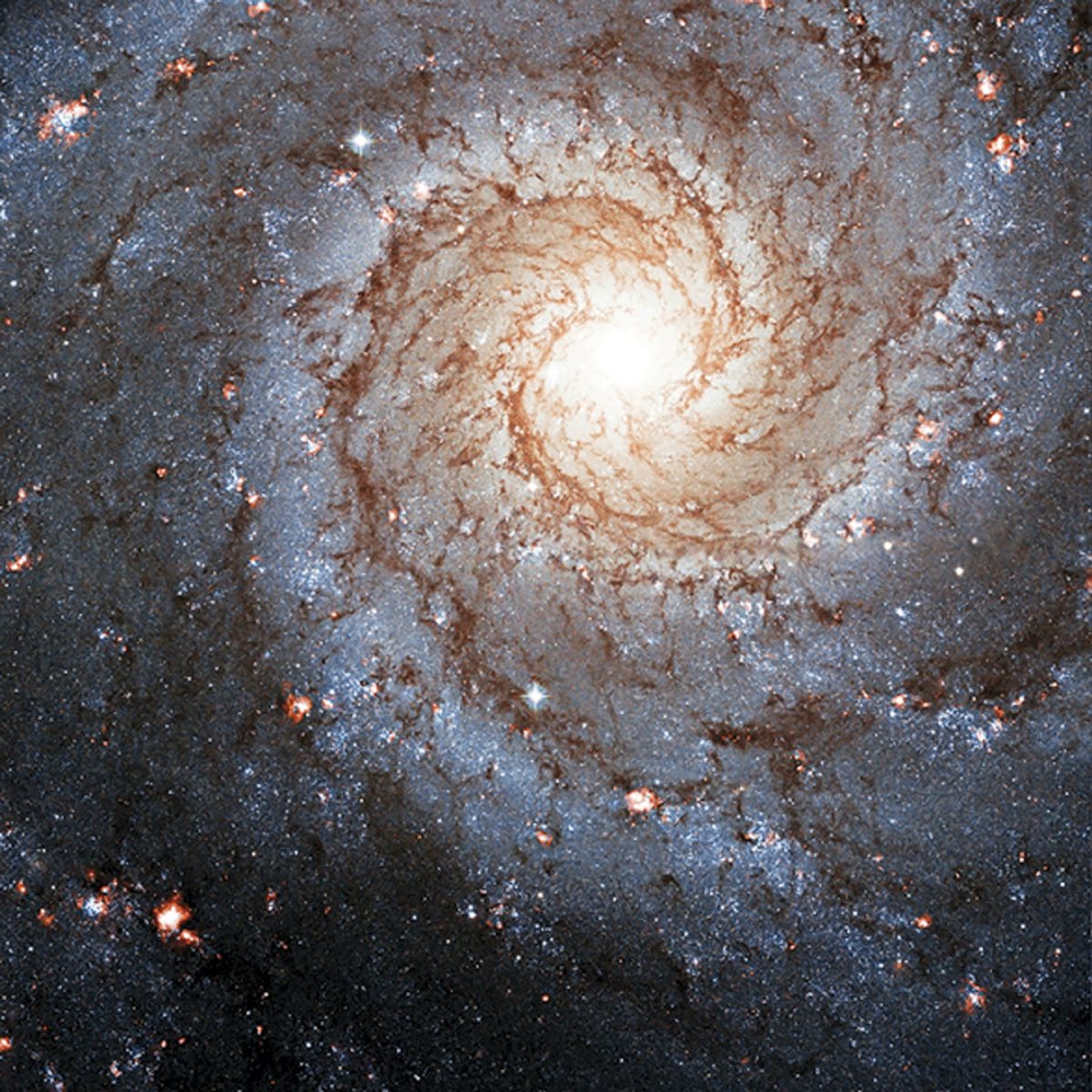 ¿Pueden las estrellas regular la formación de generaciones futuras de estrellas?