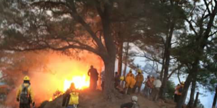 Continúa el incendio forestal en Santo Domingo; refuerzan acciones de combate con 89 brigadistas