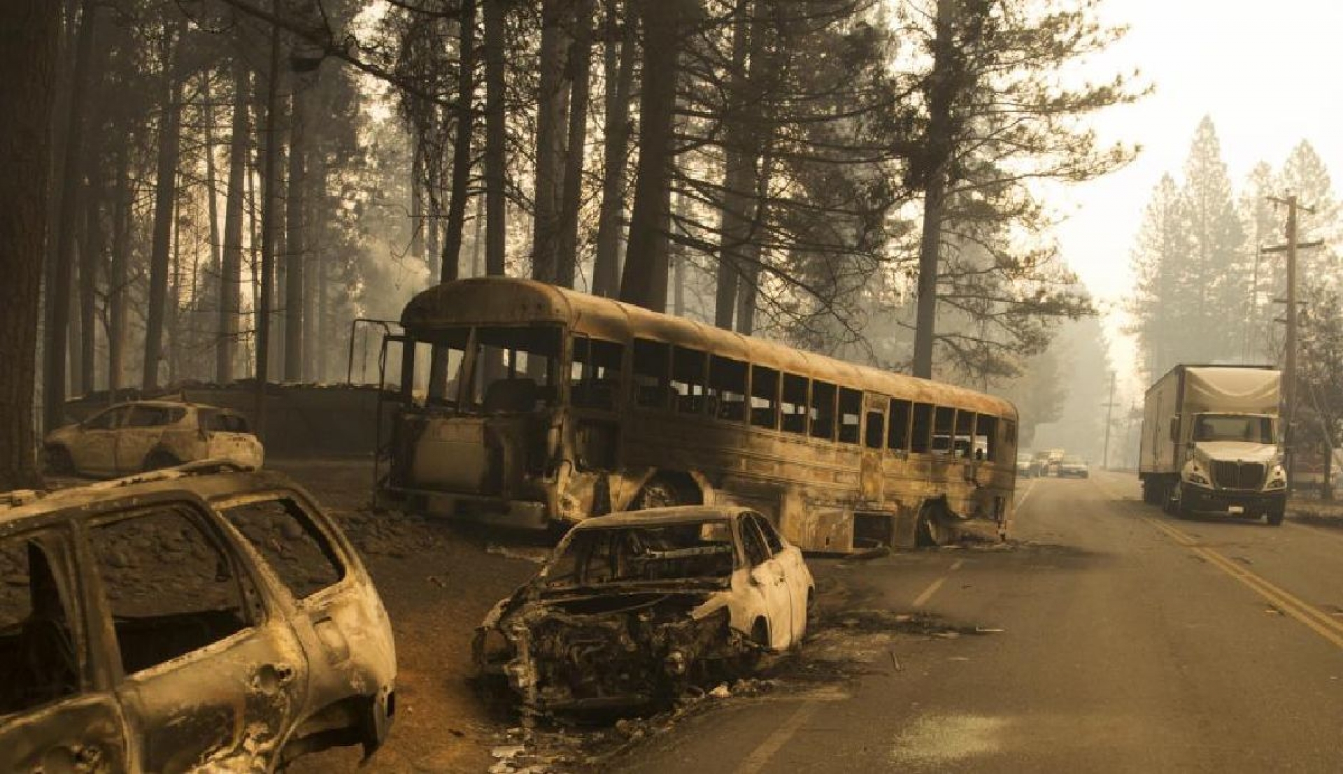 La semana que concluye trajo noticias de lo ocurrido tras registrarse devastadores incendios en California.