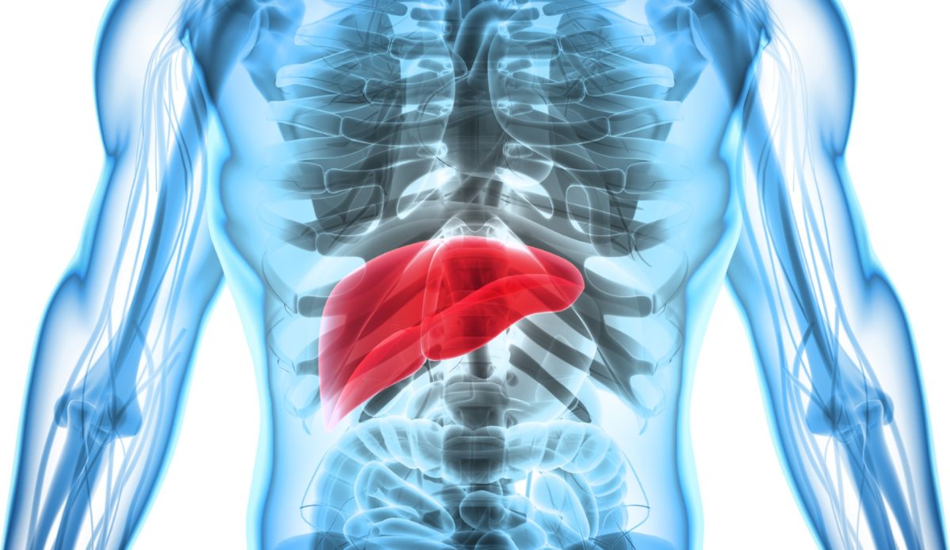 Día Mundial contra la Hepatitis