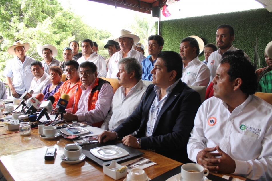 Ante incapacidad de directora