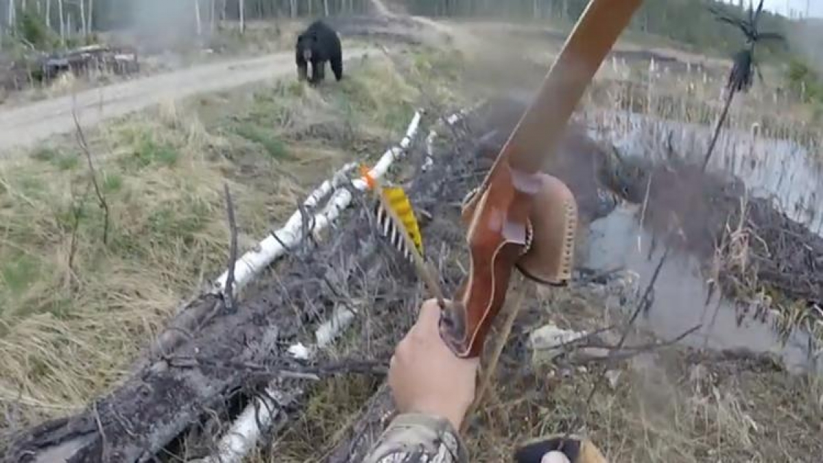 Enfrenta oso con arco y flecha...¡y sobrevive!