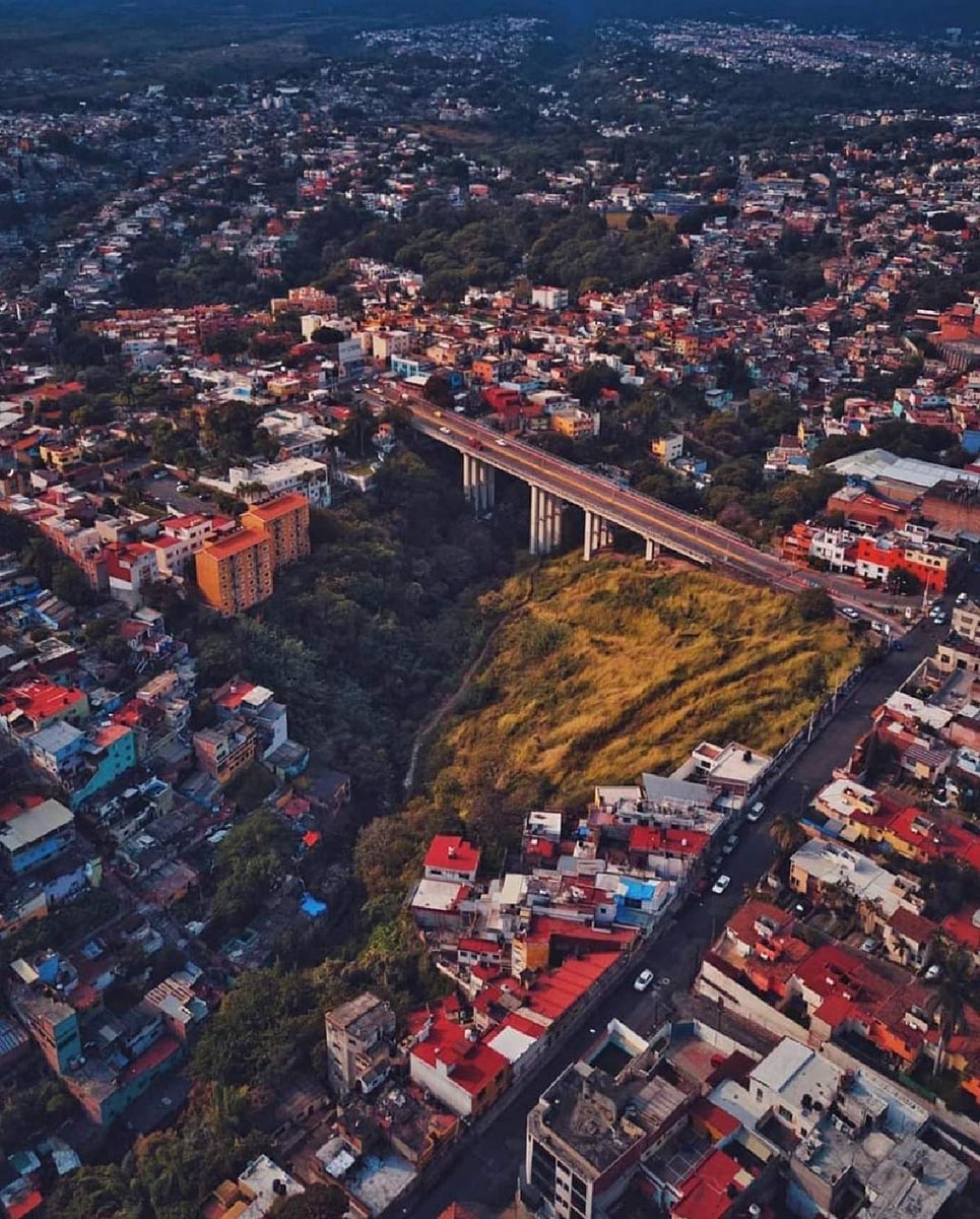¿Sabías que…?
