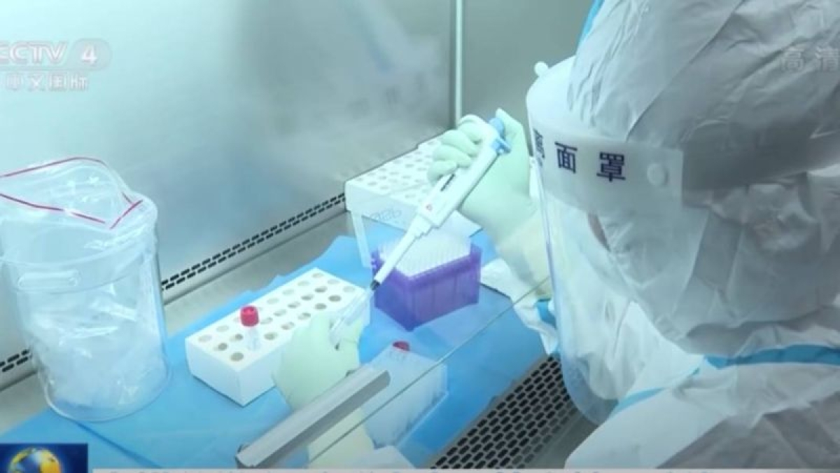 China pide a EU que deje de 'politizar' origen de Covid ante teoría de fuga de laboratorio