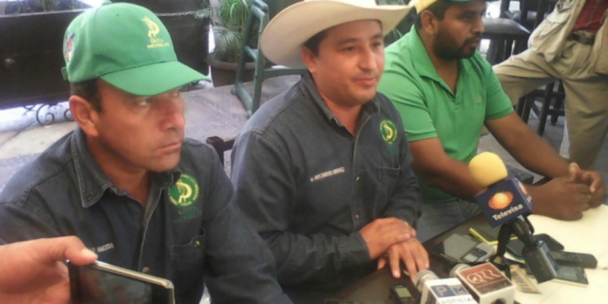 Toman integrantes de la UNTA oficinas de la delegación de Sedesol