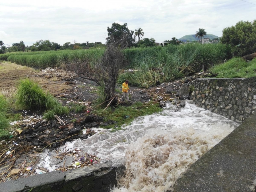 Intensas lluvias causan pérdidas en cultivos de caña en Xochitepec
