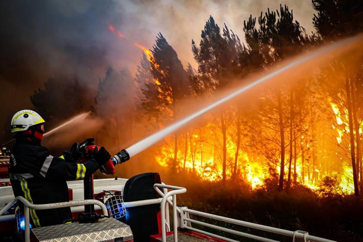Ola de calor: Incendios forestales arrasan bosques en Europa