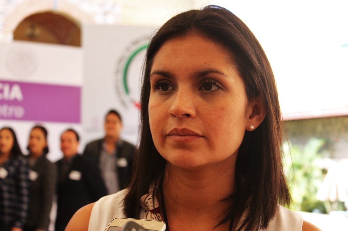 Ya son 13 las embarazadas enfermas de zika