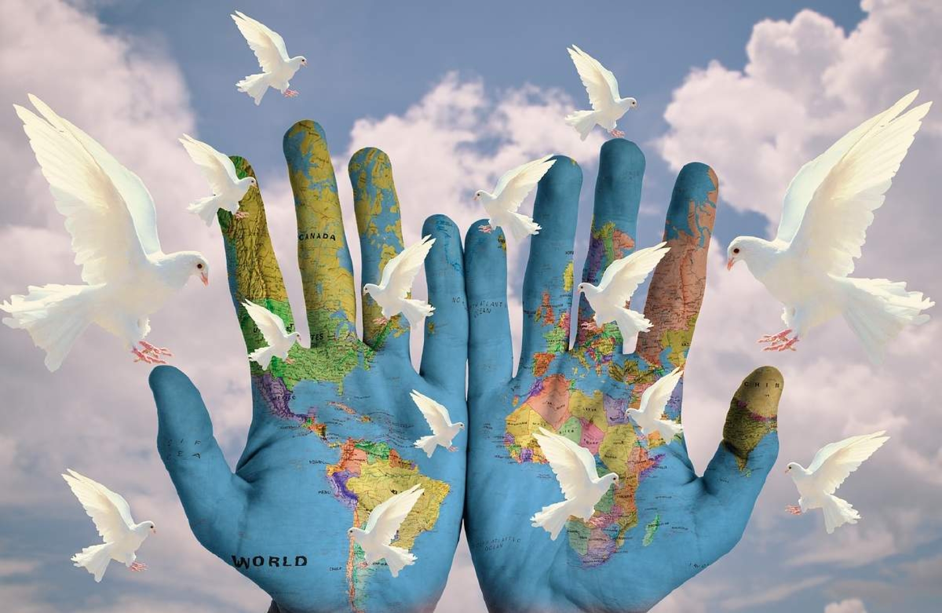 Cultura de paz y su implementación en nuestra sociedad