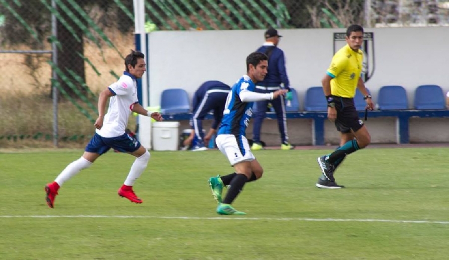 Halcones y Canamy tienen inicio alentador