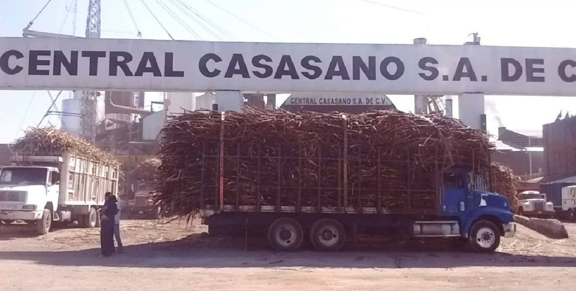 Descartan parar la molienda en el Ingenio de Casasano
