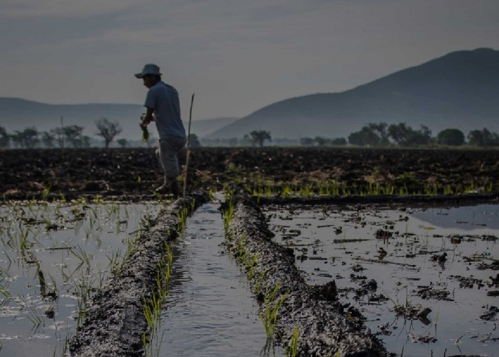 Buscan recuperar los envases de agroquímicos