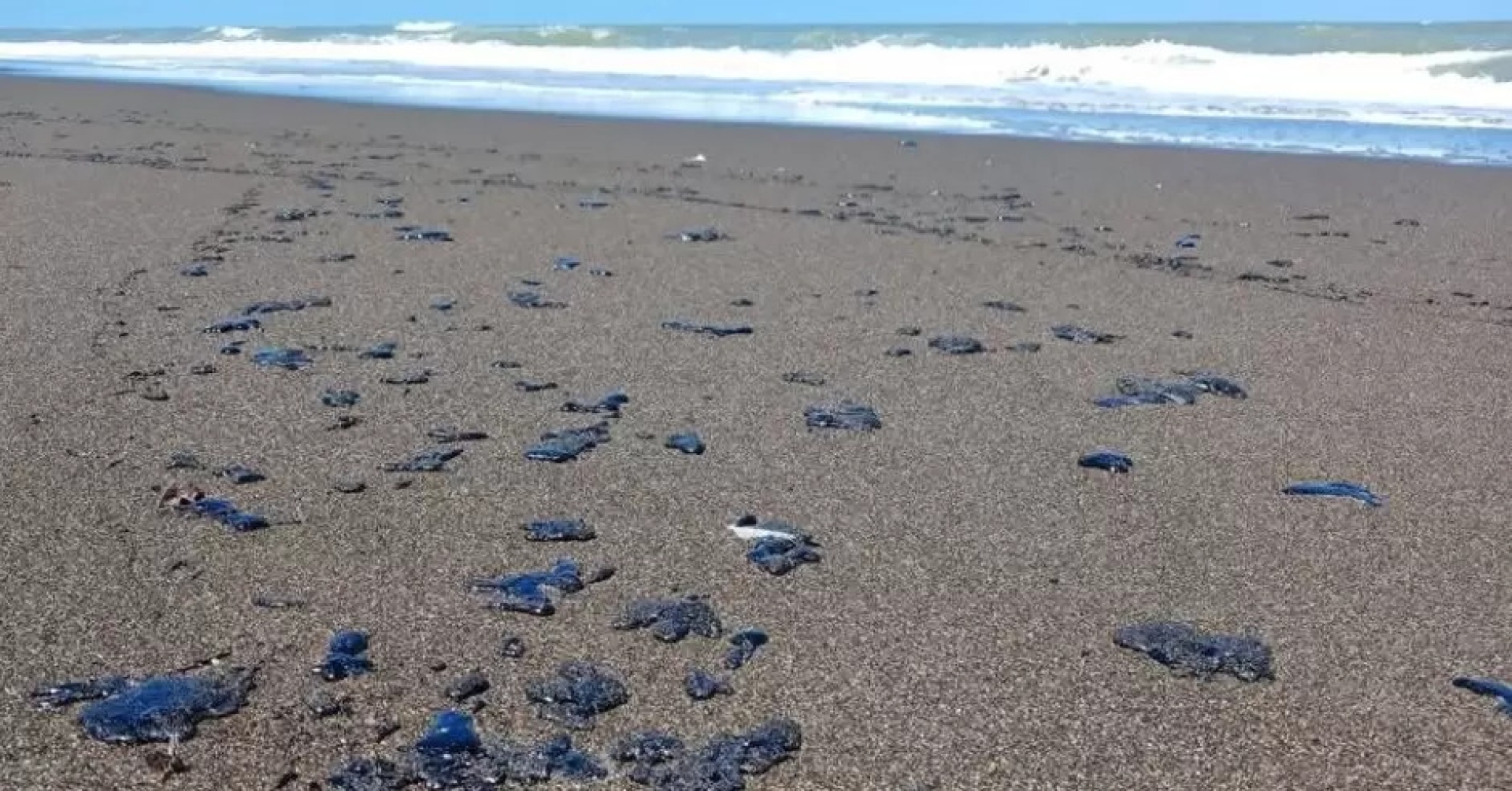 Greenpeace denuncia derrame de petróleo sin control en el Golfo de México