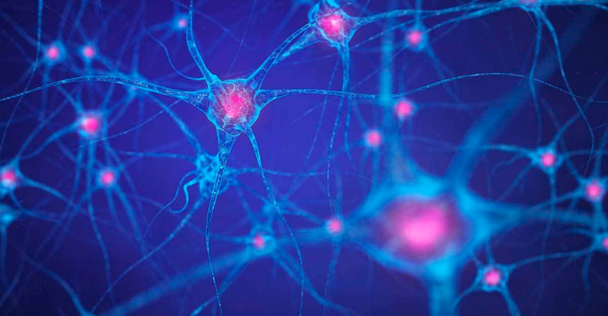 Descubren una proteína implicada en el desarrollo de la esquizofrenia