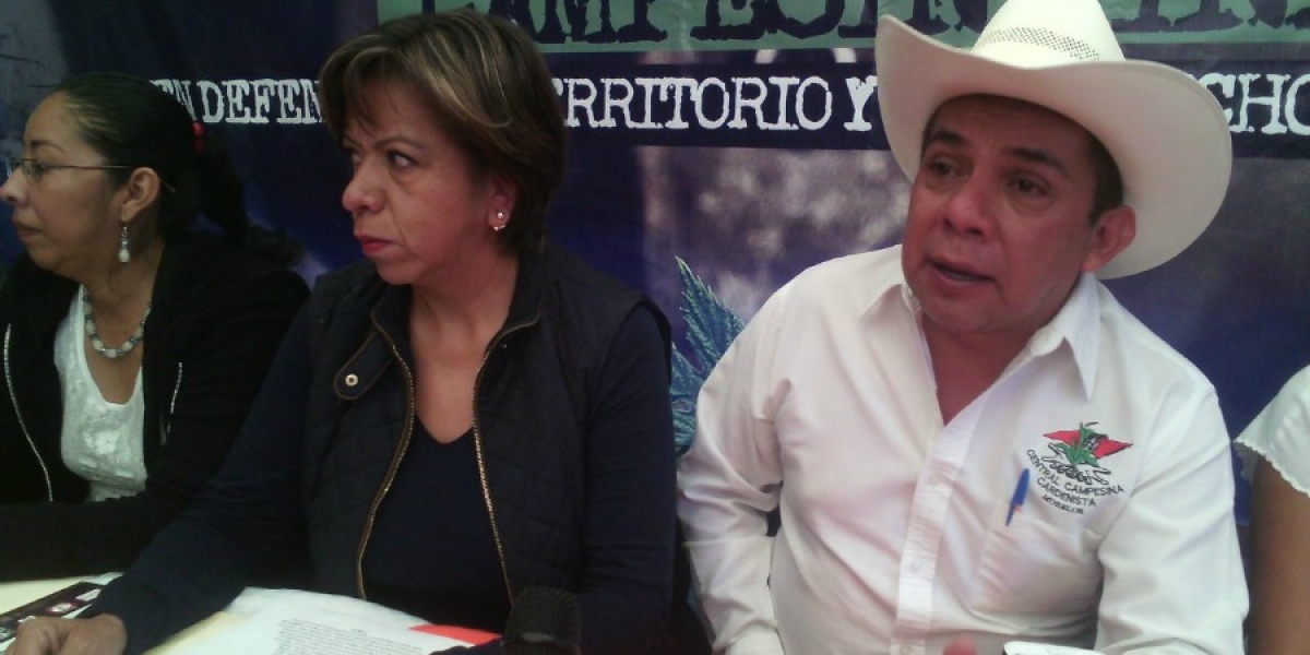 Denuncia CCC que tardía atención a plagas ha causado disminución radical de la producción