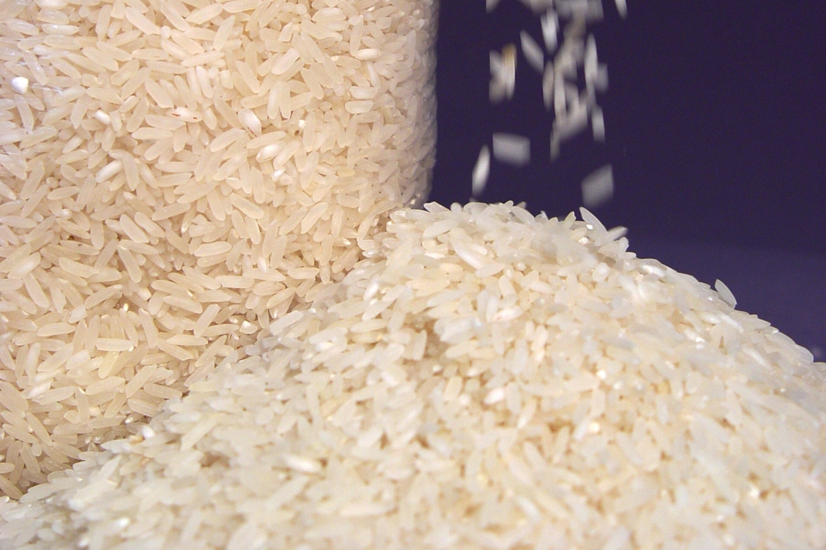 No hay indicios de la presencia de arroz “pirata” en Morelos