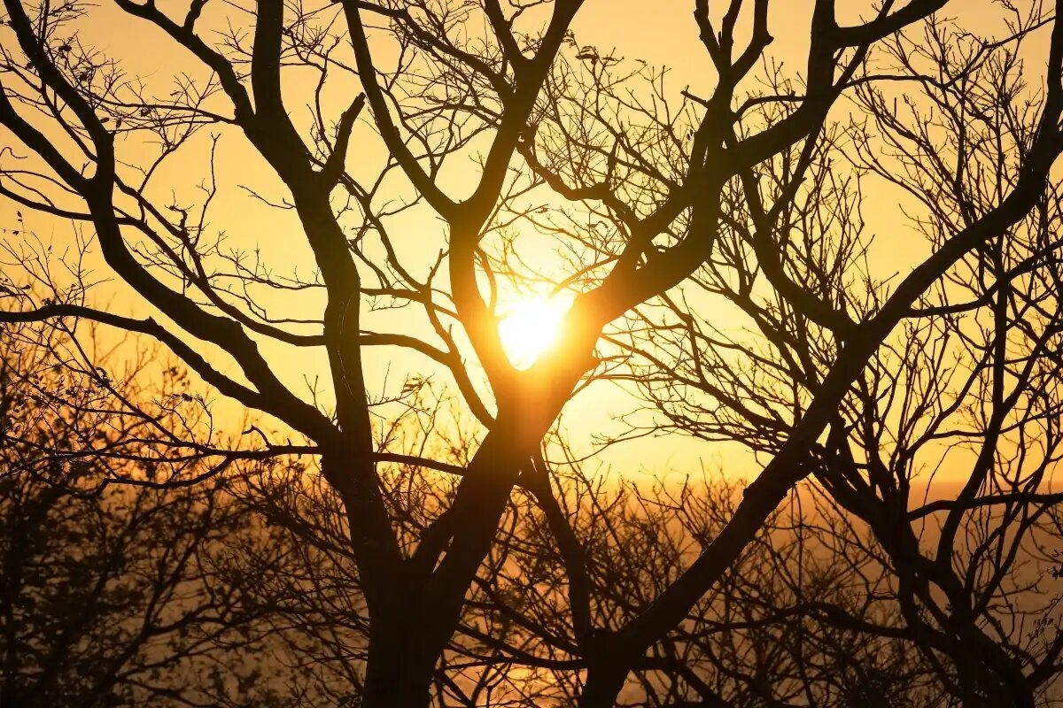 Calor abrasador y lluvias intensas: así estará el clima en México