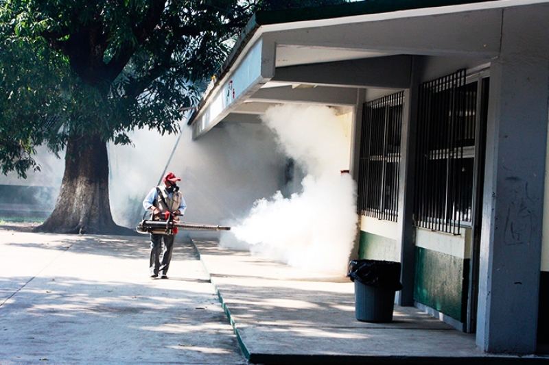 Hasta fin de año, programas contra dengue