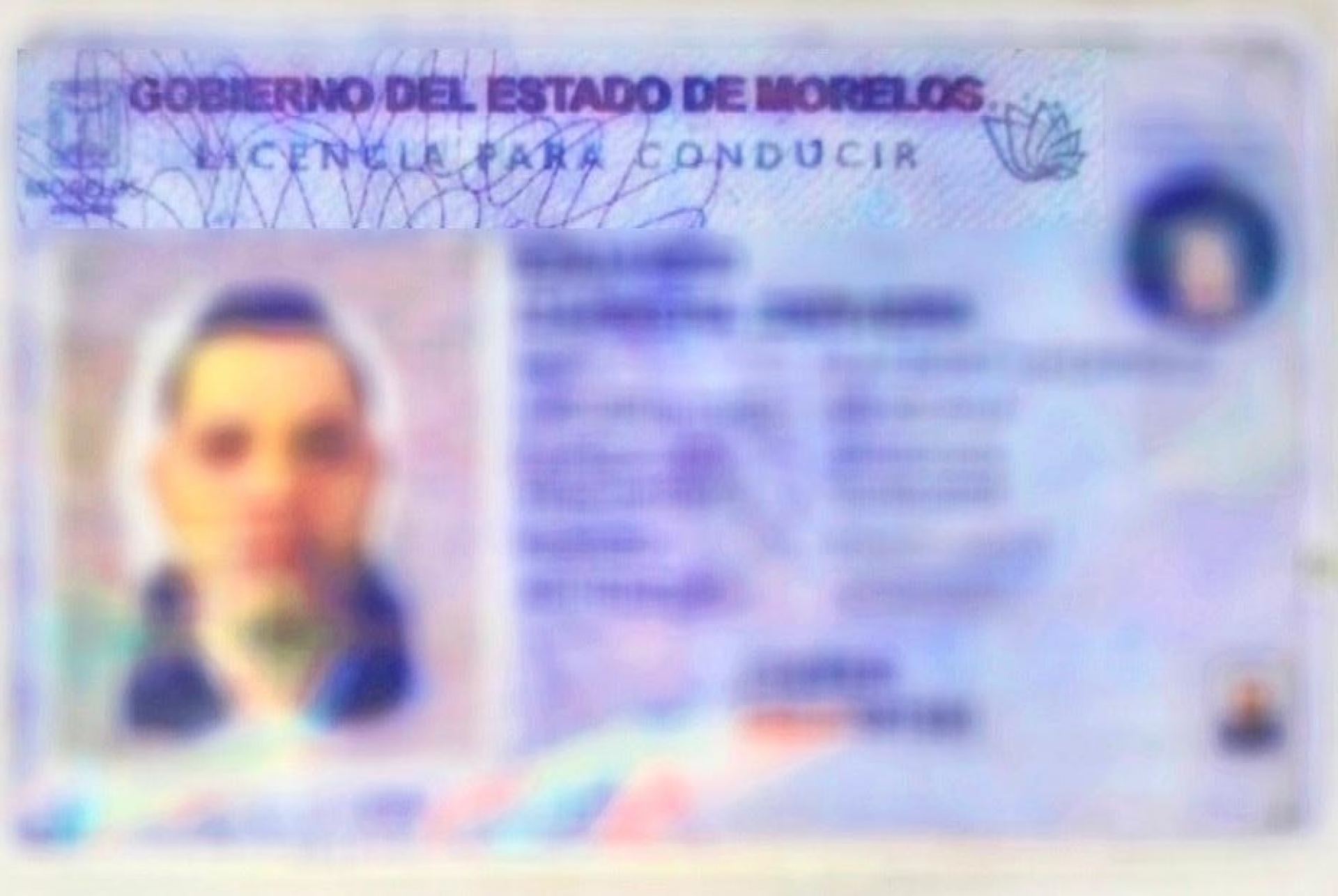 Detecta SMyT licencias para conducir apócrifas del estado de Morelos