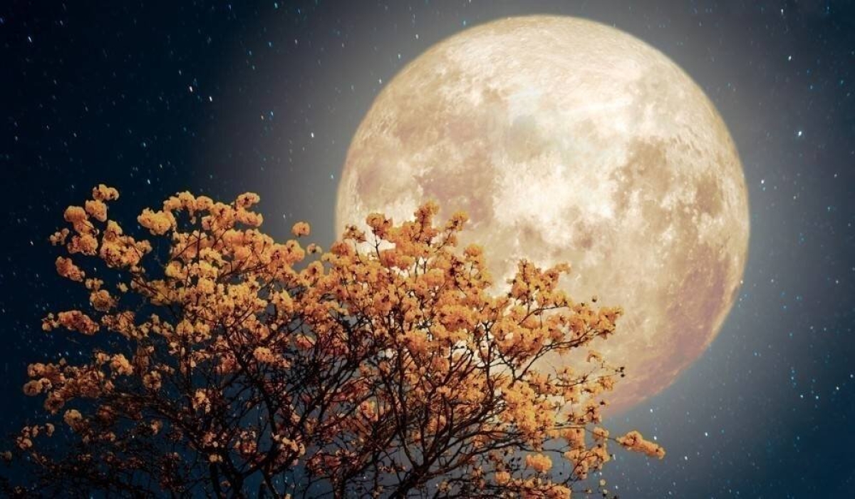 Estos son los eventos astronómicos que podrás ver en mayo