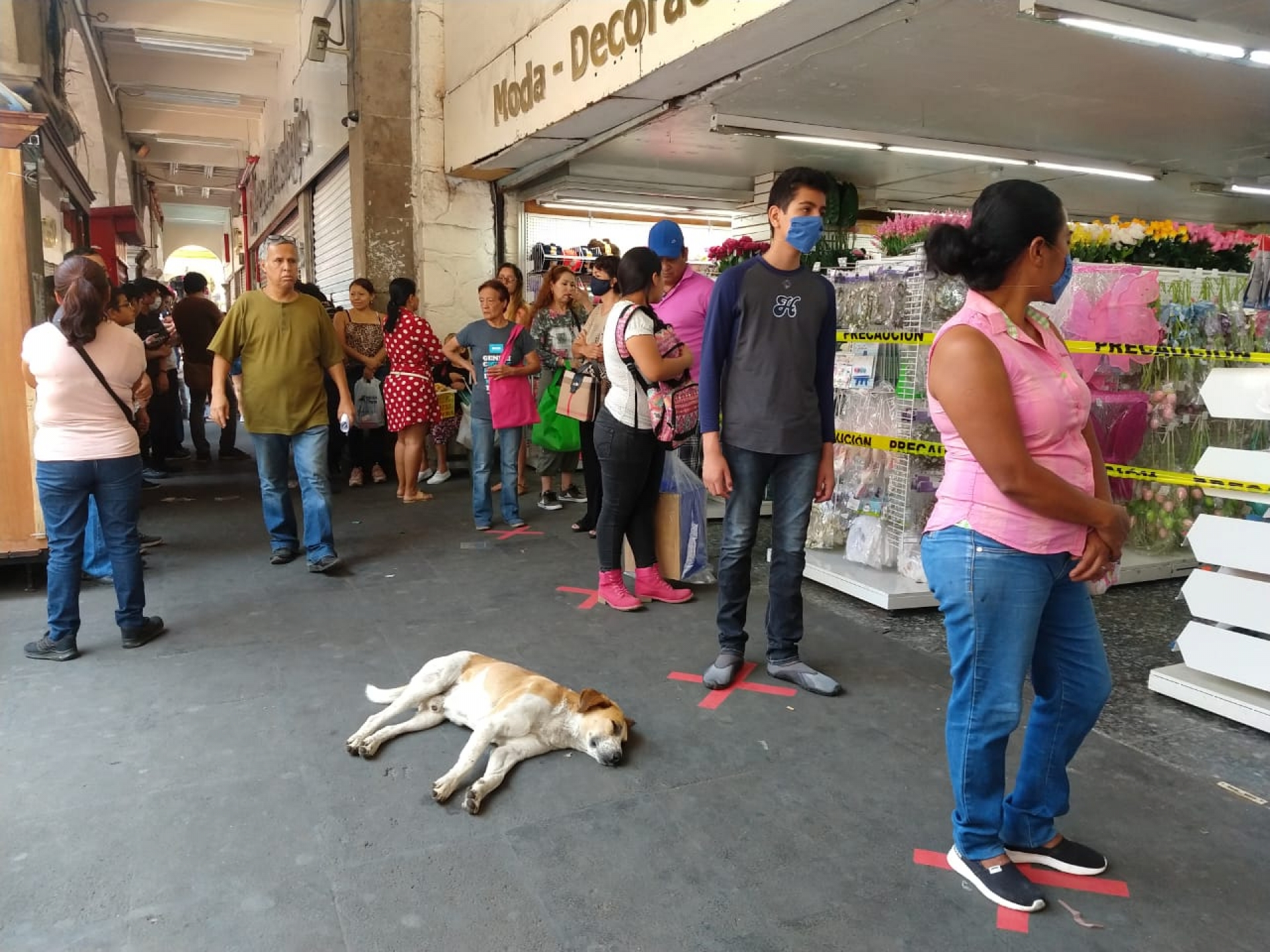 ¡Contra COVID-19! Solo estos comercios abrirán en Cuernavaca