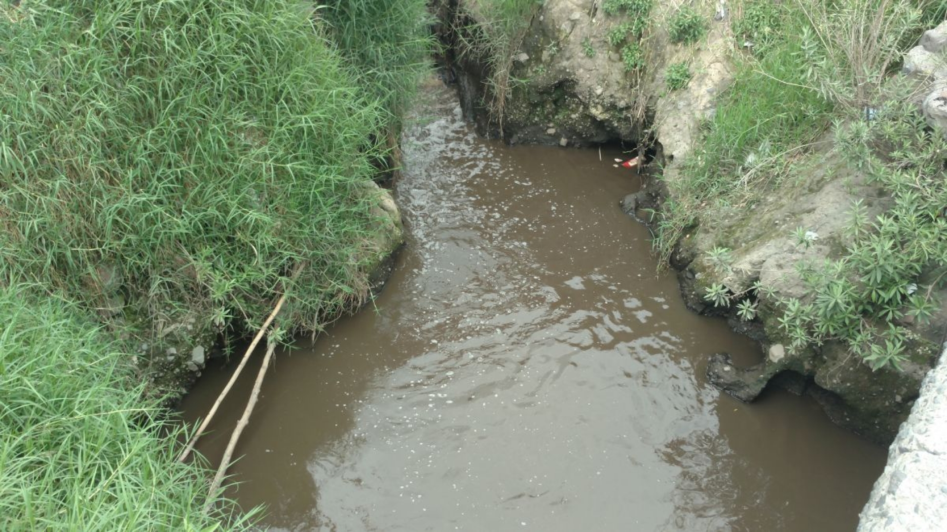 Investiga Conagua turbiedad del río Cuautla