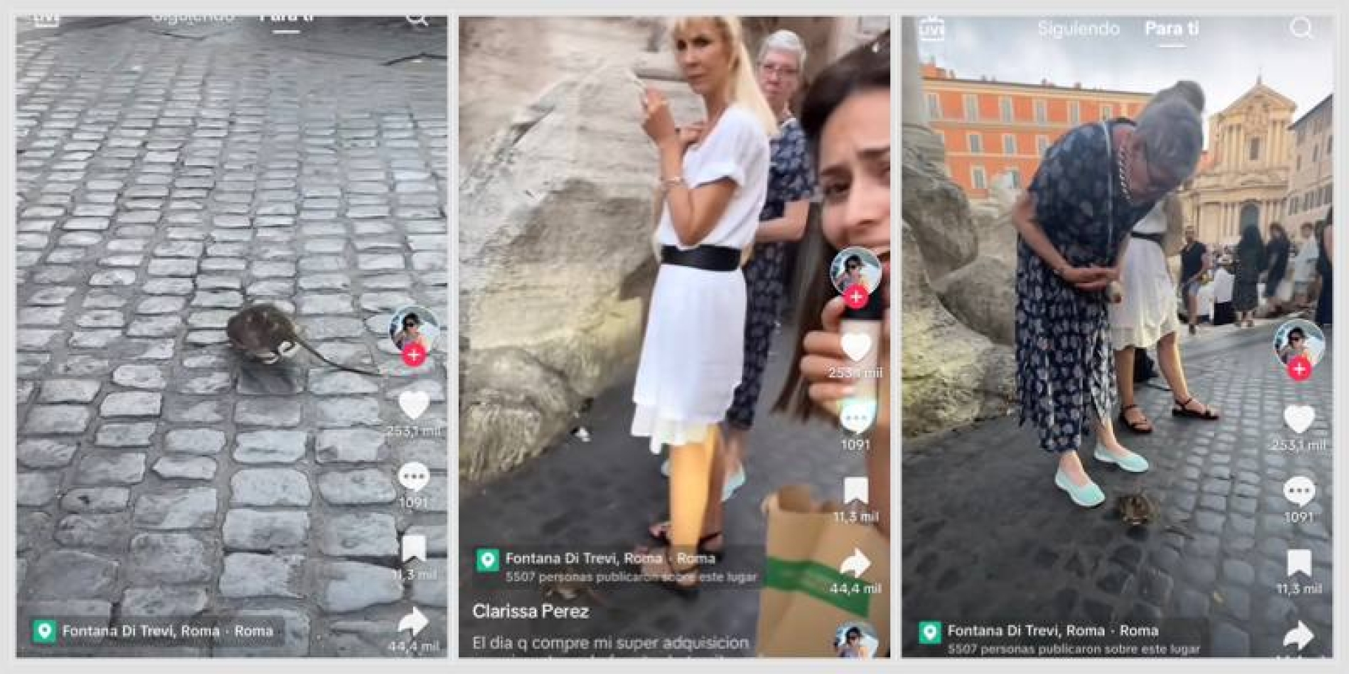 Mexicana canta 'Una rata vieja' a roedores en la Fuente de Trevi.