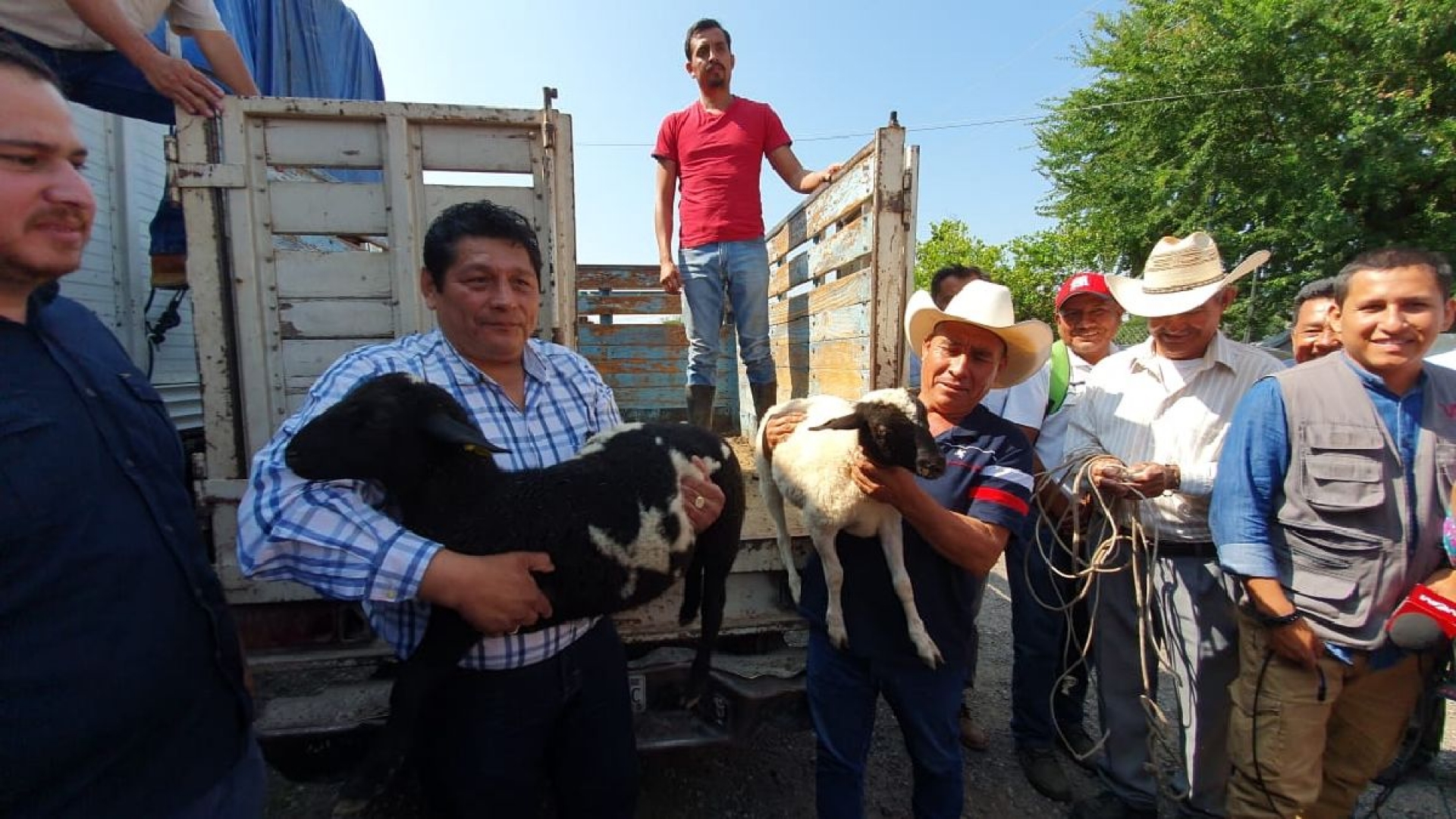 Entrega alcalde de Cuautla 27 paquetes de ovinos a productores