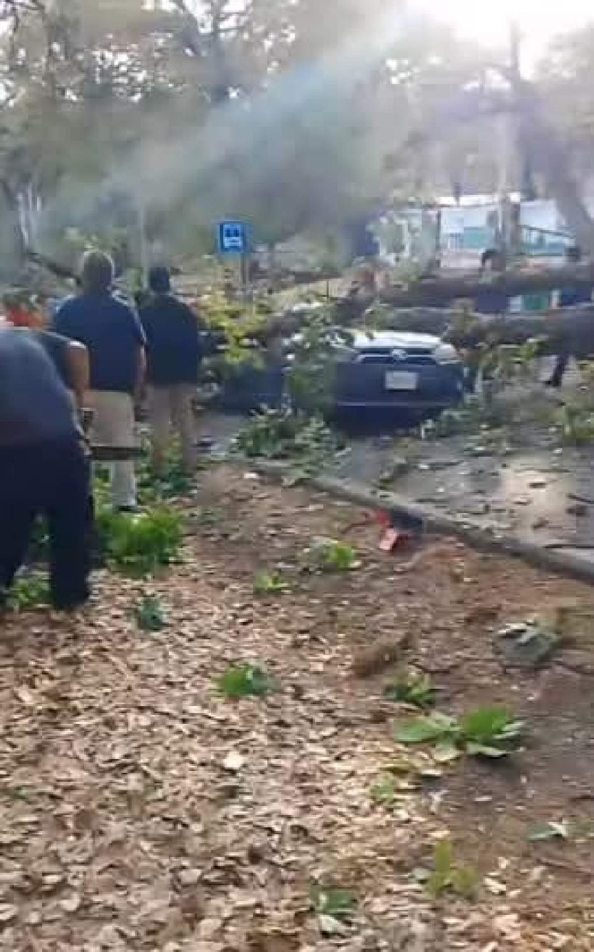 Aplasta árbol a siete personas; tres murieron