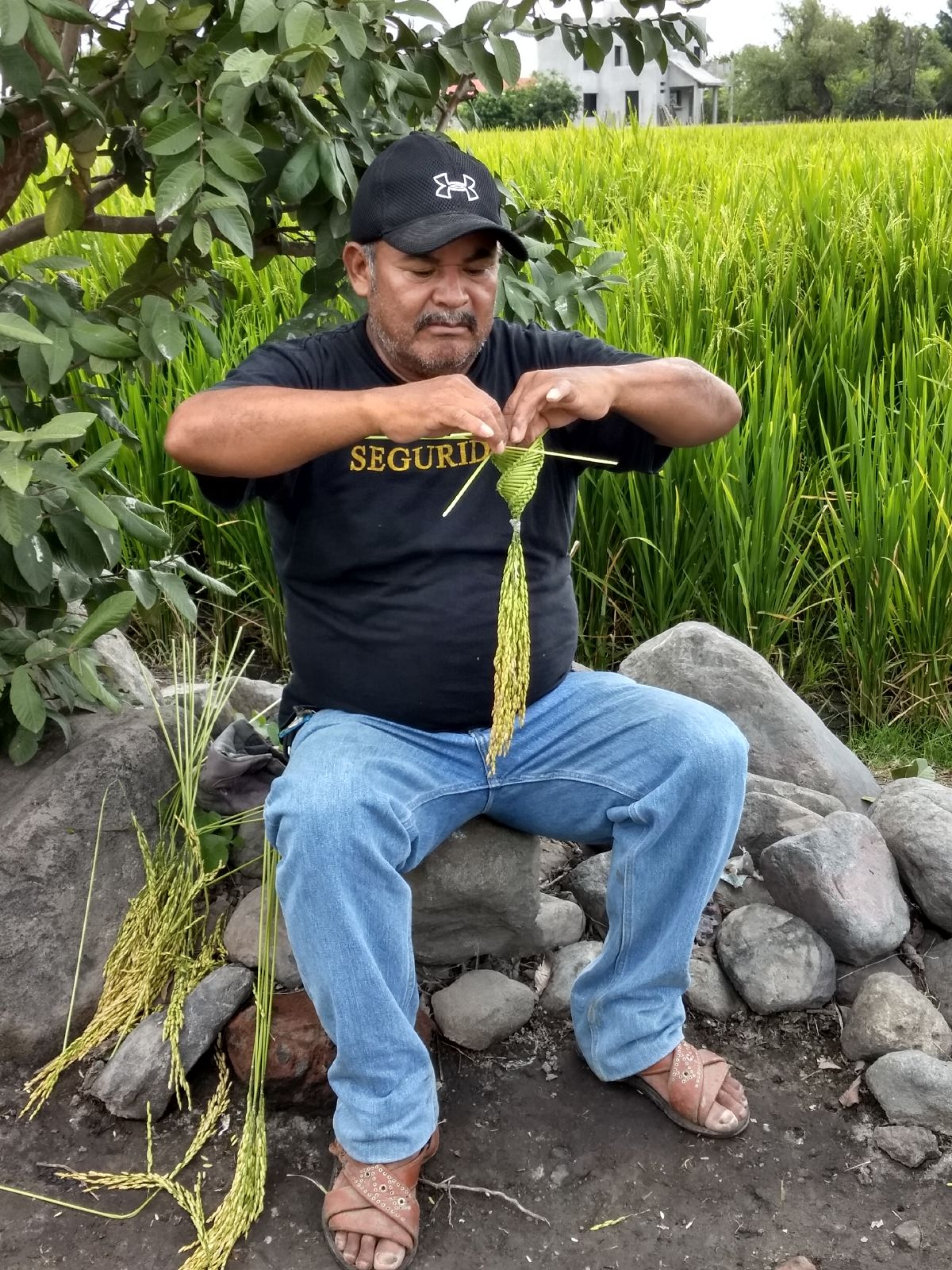 Las artesanías del Arroz del Estado de Morelos