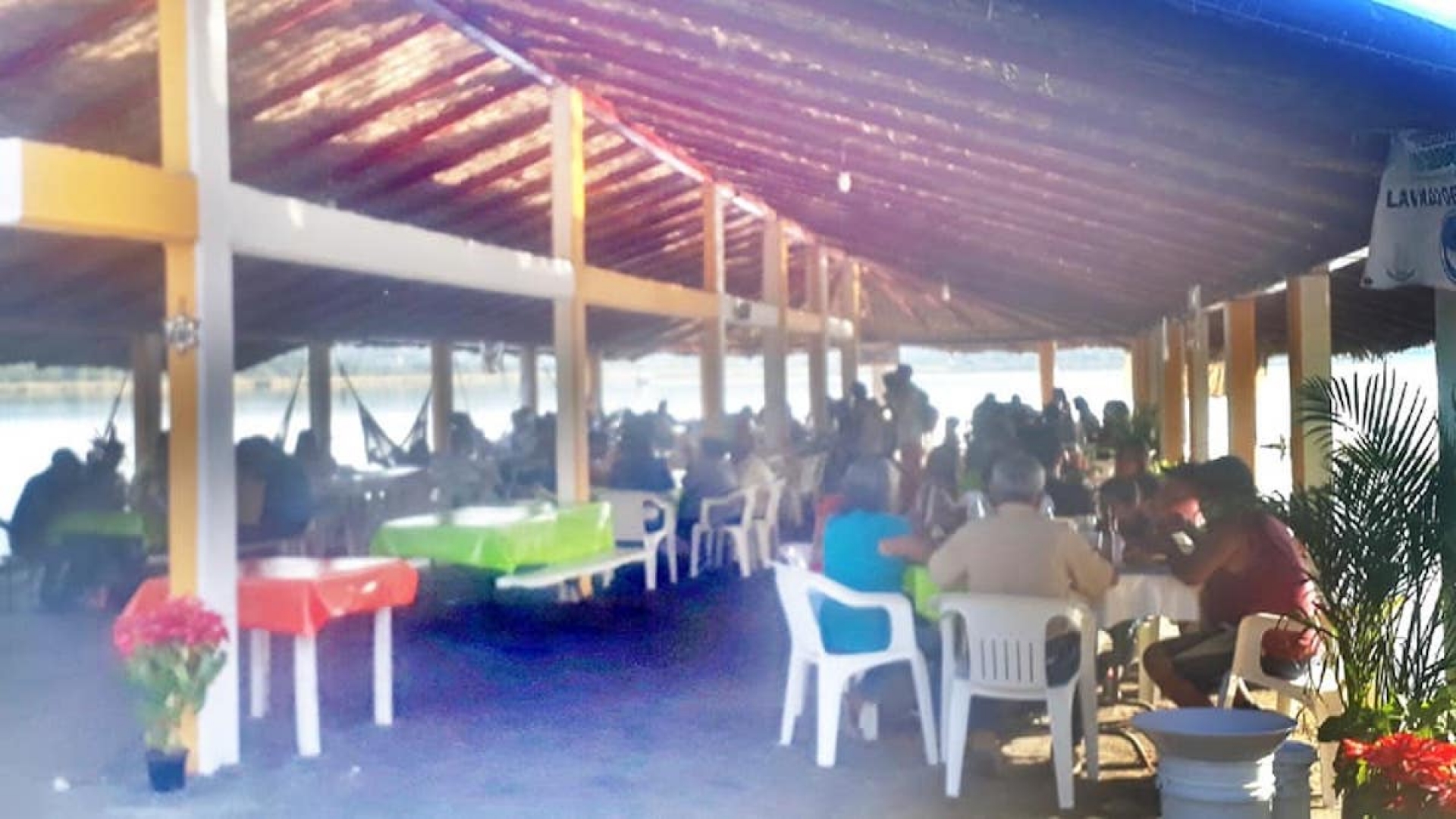 Palaperos reportan exitosa semana
