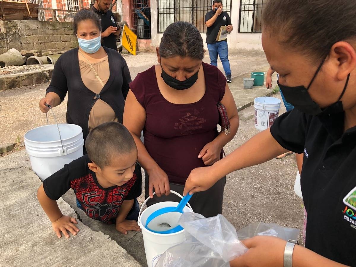 Entregan mojarras para control del mosco transmisor del dengue