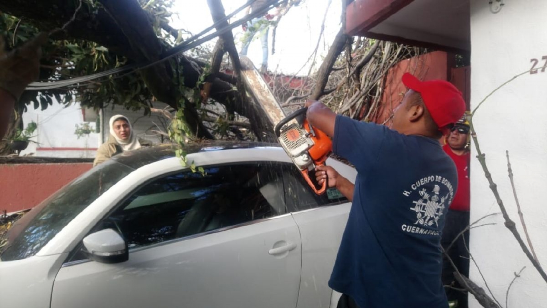 La caída de un árbol causó daños en un fraccionamiento