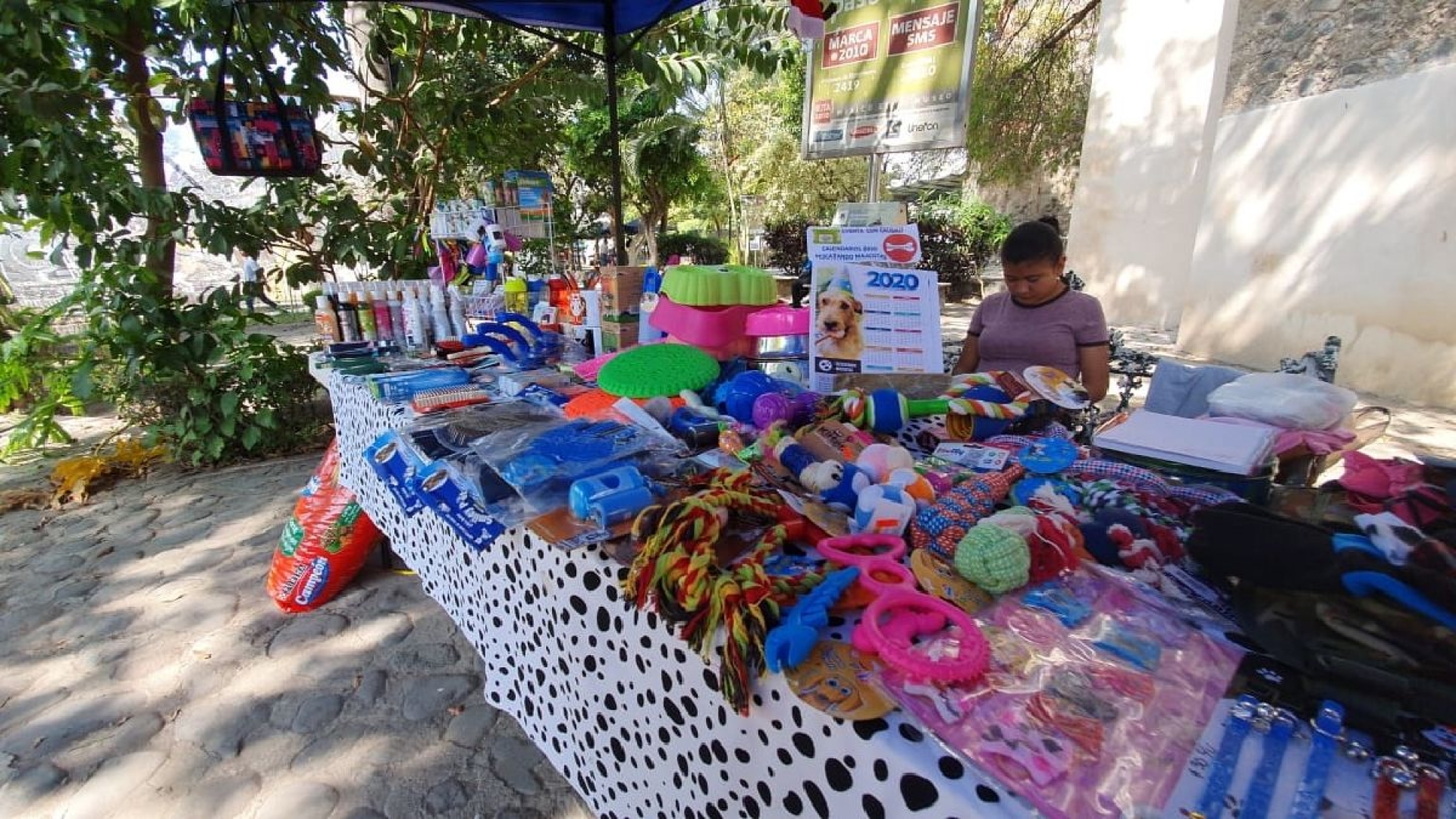 Buscan recaudar dos toneladas de alimento para perro en Cuautla