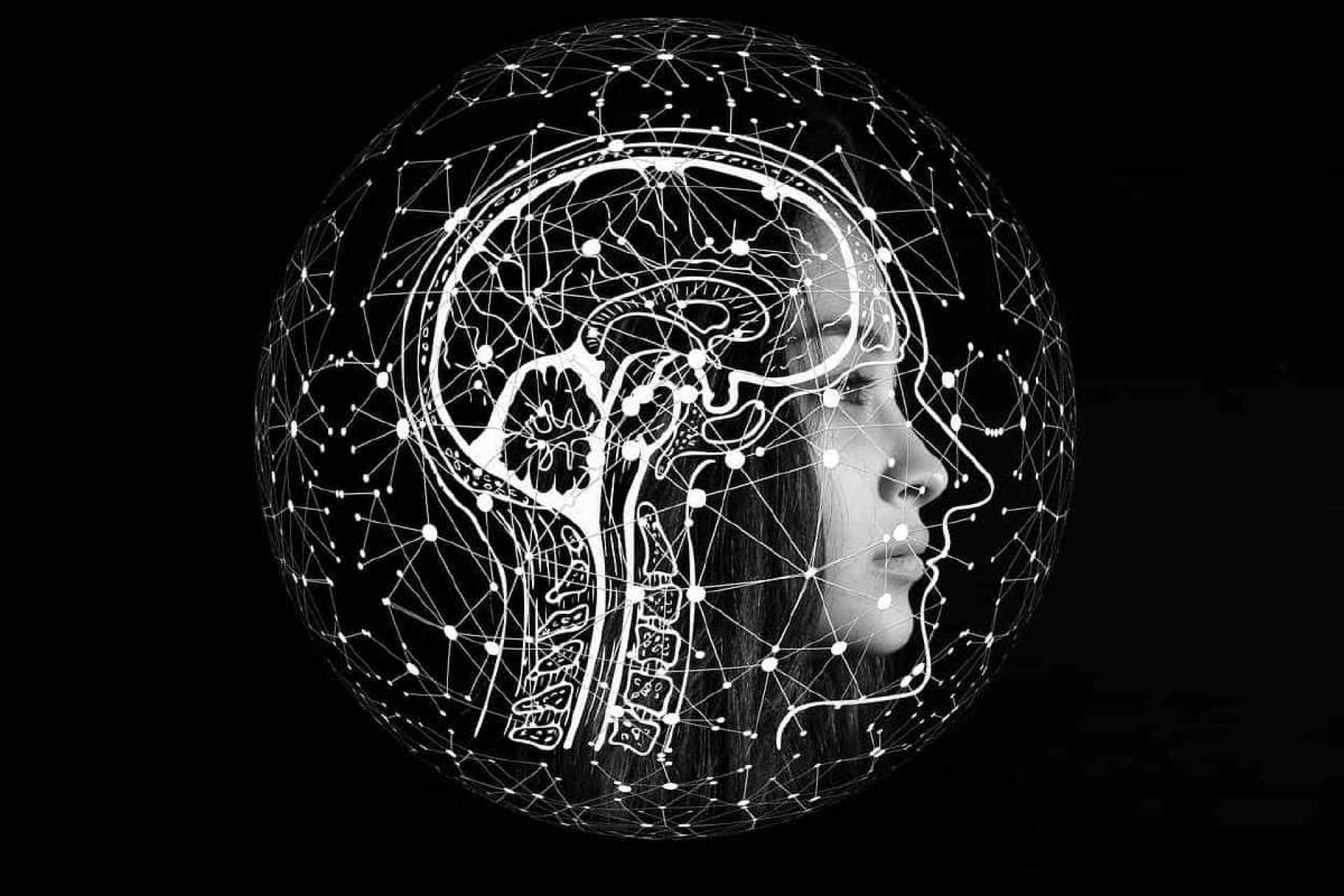 Neuroderechos y cultura de paz