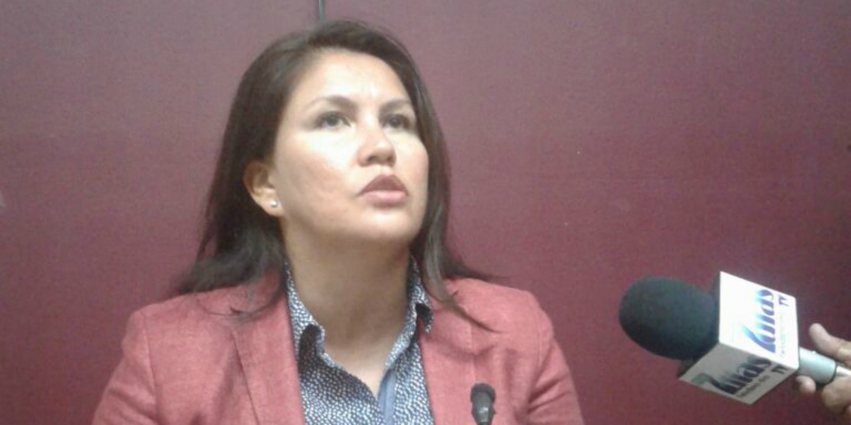 Anuncia diputada mesas de diálogo con transportistas