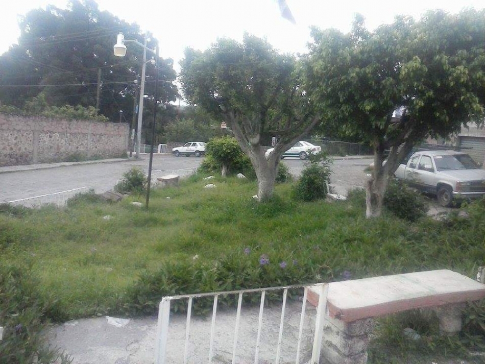 Se quejan por la falta de cuidado de parques y jardines en Puente de Ixtla