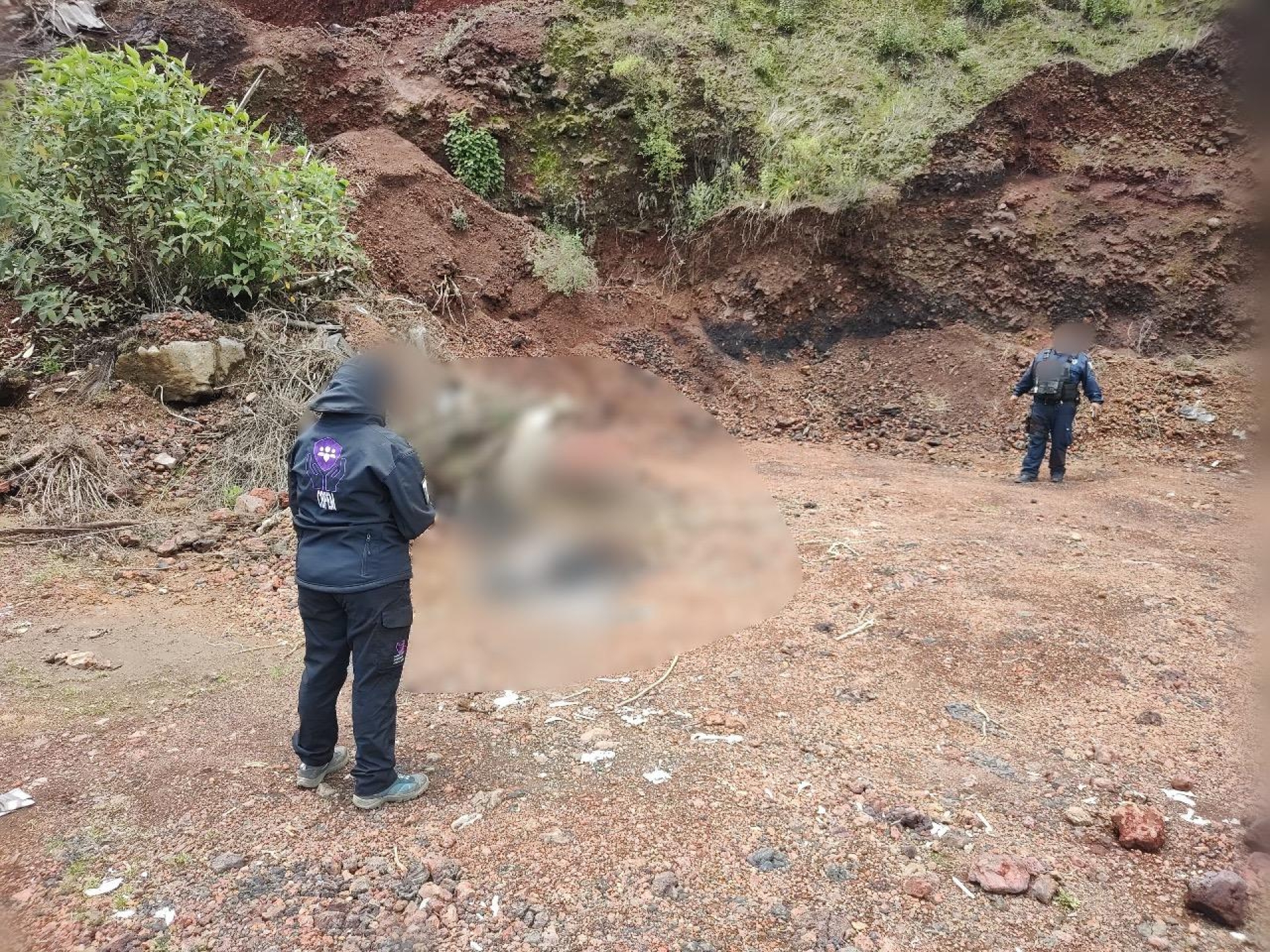 Localiza Comisión de Búsqueda de Personas restos óseos en el municipio de Huitzilac