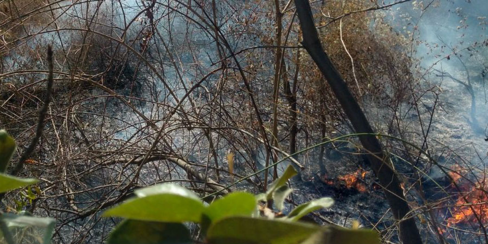 Atienden bomberos reporte de incendio en terreno baldío, en Vista Hermosa