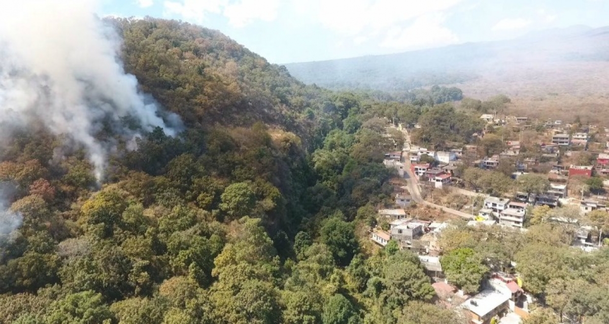 Combaten brigadas incendio forestal en el cerro de La Herradura