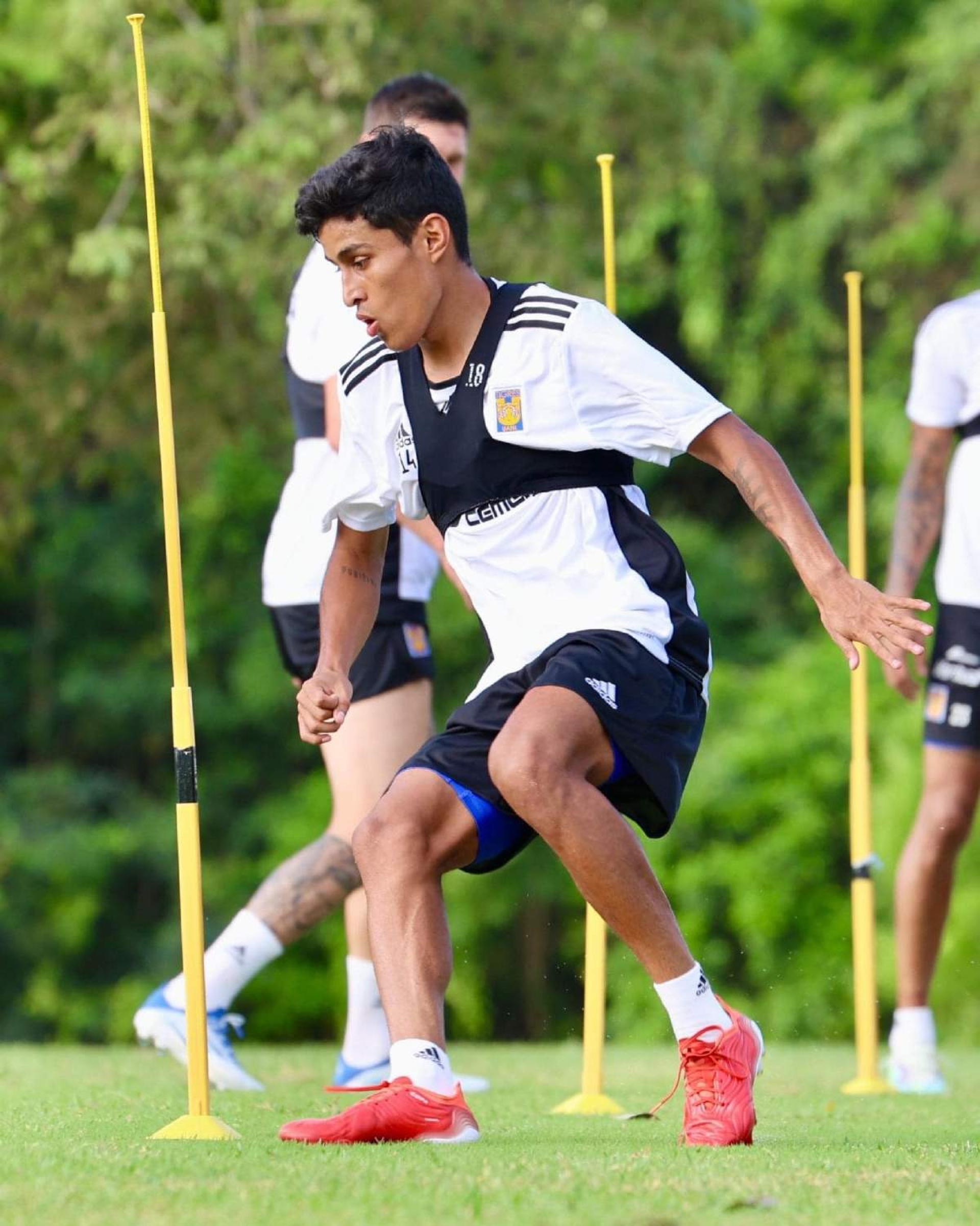 Fernando Gómez Peña es nuevo fichaje de Dorados de Sinaloa