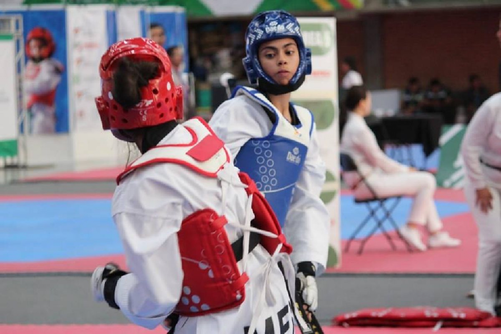 Taekwondoínes se lucen en la Ciudad de México