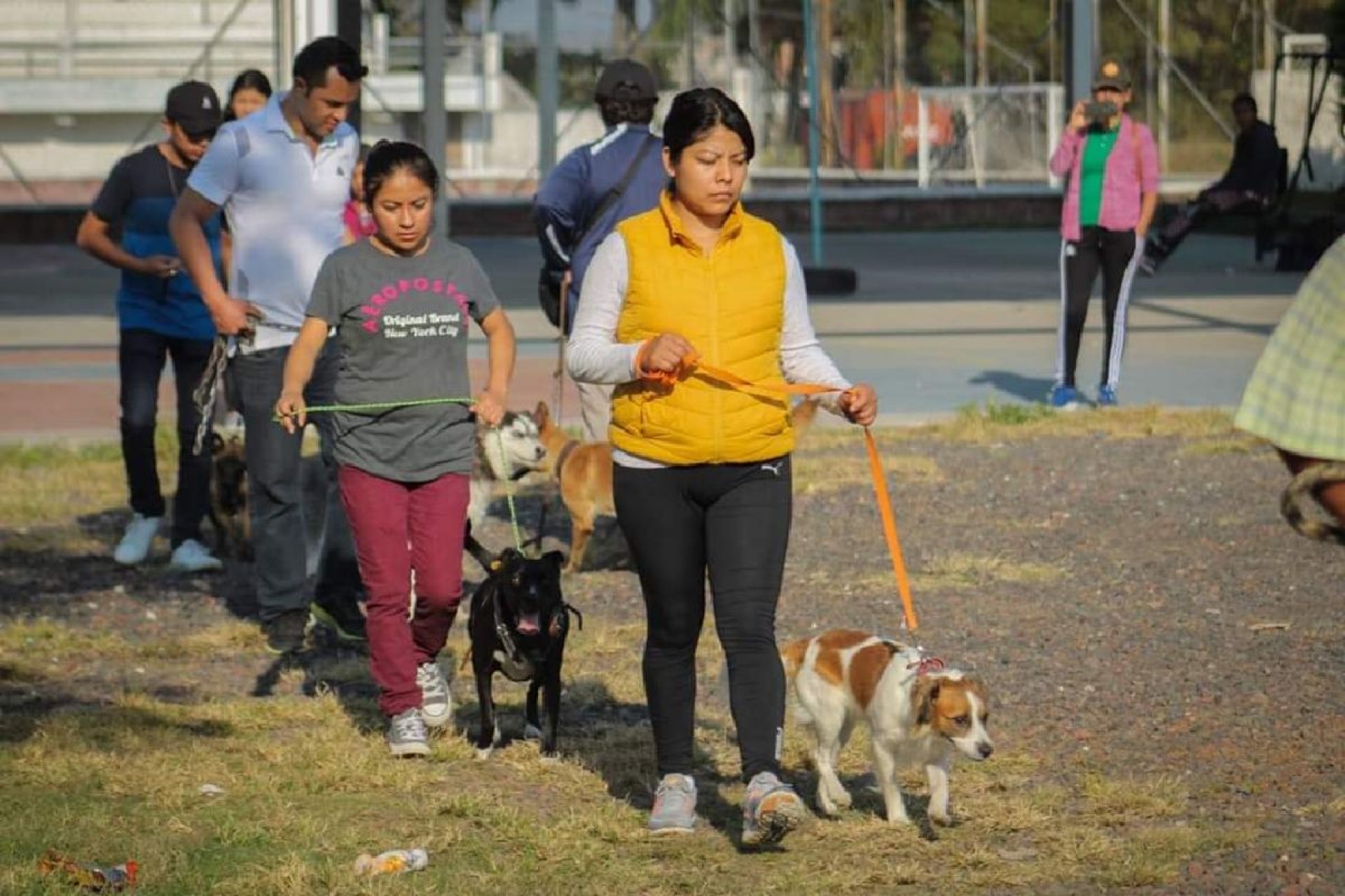 Realizan con éxito curso de adiestramiento canino en Yecapixtla
