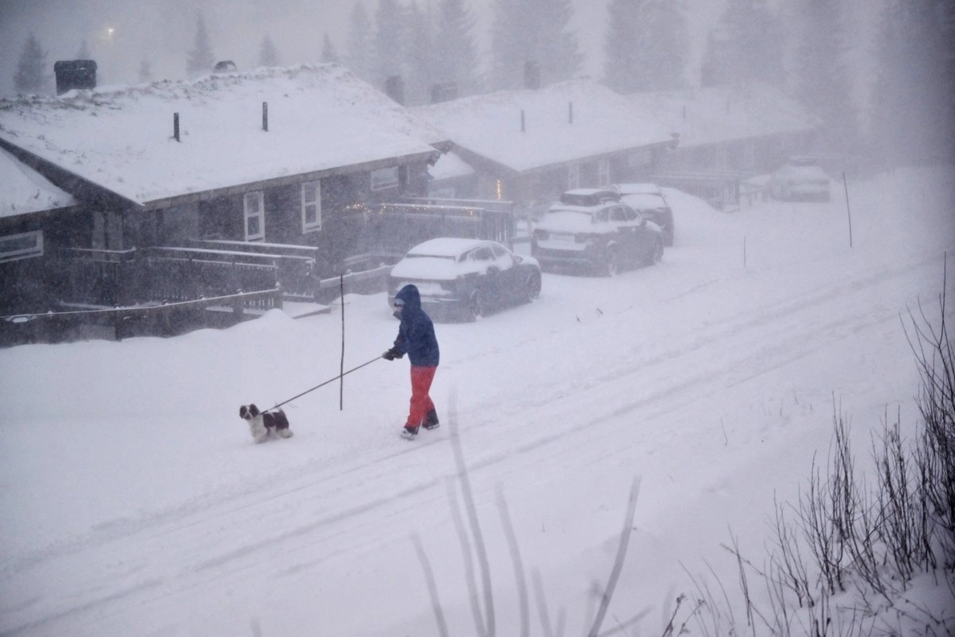 Tormenta Johannes deja un muerto y miles sin electricidad en Suecia y Finlandia