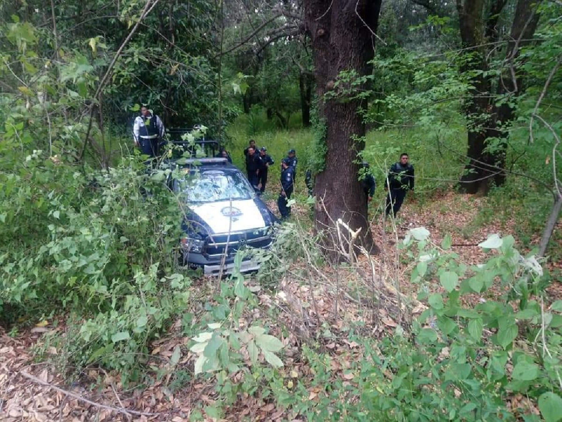 Cae patrulla de la Policía Morelos a una zanja
