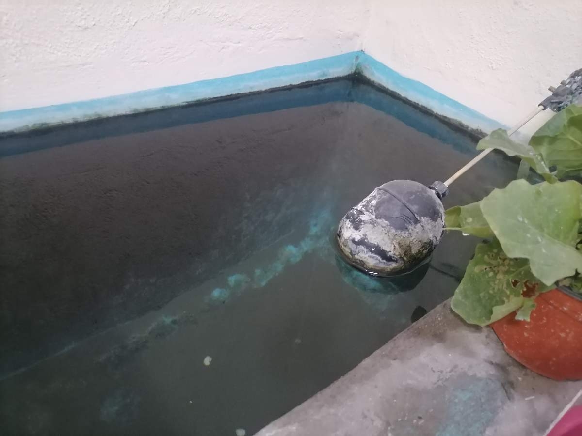 Se reduce la incidencia de dengue en Morelos